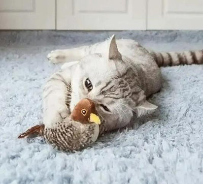 Pet ToysExplore the Ultimate Toys Collection for Cats and Dogs: Unleash Endless Fun and Excitement Dive into a world of play and adventure with our curated toy collection, designed to ignite the joy and energy of your beloved feline and canine companions.