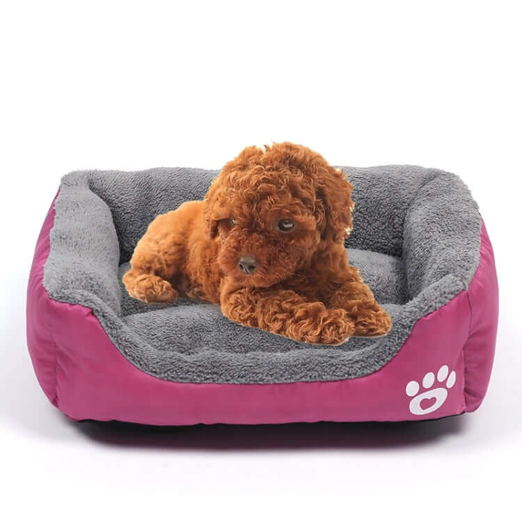 1. Warm and comfortable, designed to give your pet a place to rest. 2. Wear-resistant, dirt-resistant and breathable. 3. PP cotton filling, multi-color optional. 4. Easy to clean, no sticky hair. 5. Moisture-proof, protect the cervical spine.Specification