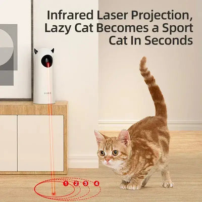 Smart Interactive Cat Toys | Paws palace storeKeep your cat happy with ROJECO's Automatic Cat Toys. Perfect for indoor fun and engagement. Discover the ultimate playtime solution!£16.9