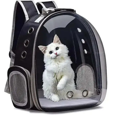 What to Pack in Your Pet Carrier Bag for Cats and Dogs