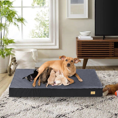 Pet BedsAt Paws Palace Store, we believe that every pet deserves a cozy and comfortable place to rest their head. That's why we're thrilled to introduce our Pet Beds section, where you'll find a luxurious selection of beds designed to provide the ultimate