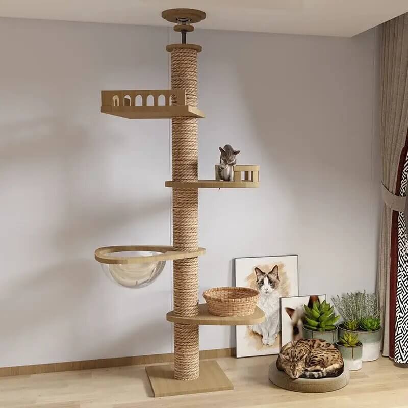 Cat Trees Tower