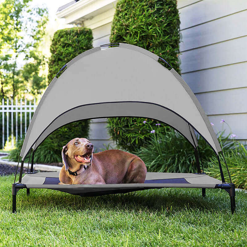 Covered Pet Loft Bed & Sunshade Tent | Paws Palace StoreShop the ultimate Pet Outdoor Supplies. Get a Covered Loft Bed & Camp Bed Sunshade Tent for your pet's outdoor comfort & safety.£36.90#PetOutdoorSupplies #PetTent #PetShelter #OutdoorPetBed #Sunshade