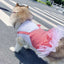 Large dog wearing red plaid skirt from the princess dog costume collection, perfect for Labradors and Golden Retrievers in size XL