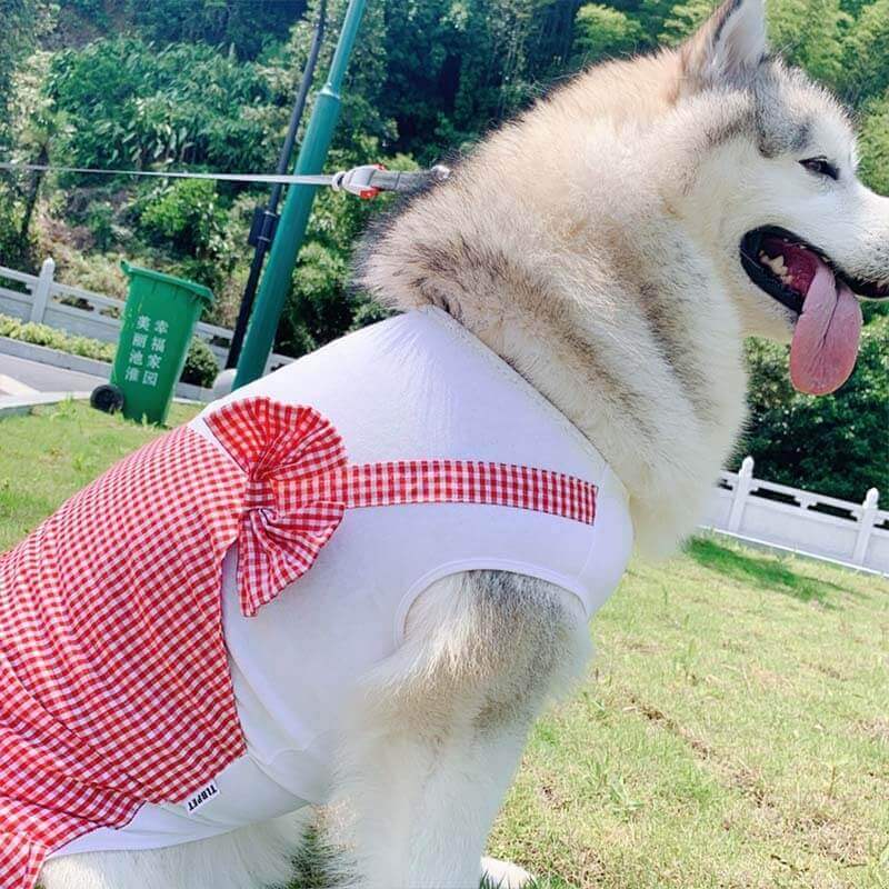 Large dog wearing a red plaid Princess Dog Costume on a sunny day outdoors.