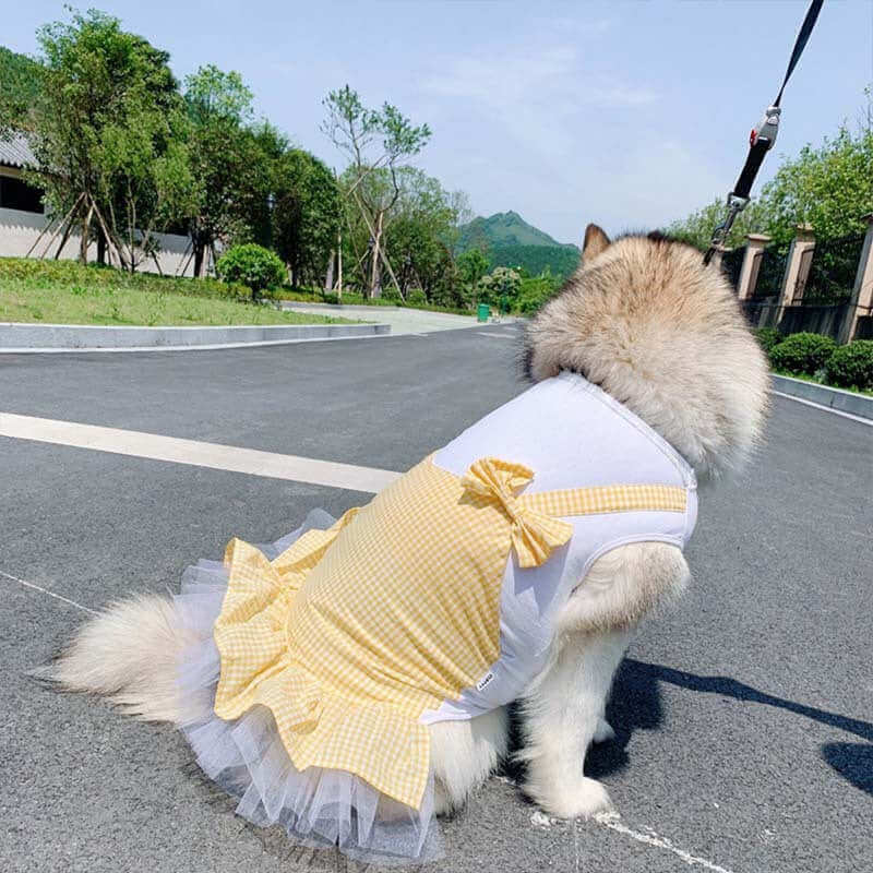 Large dog wearing a yellow plaid princess dress made of cotton, sitting on a road outdoors.