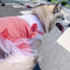 Large dog wearing a red plaid princess costume with a tutu skirt, made of cotton, suitable for big dogs like Labrador and Golden Retriever.