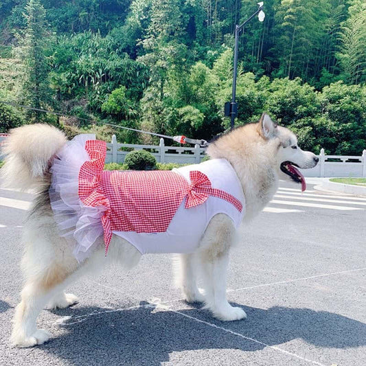 Large dog wearing red plaid princess costume skirt for dogs, outdoors in park setting