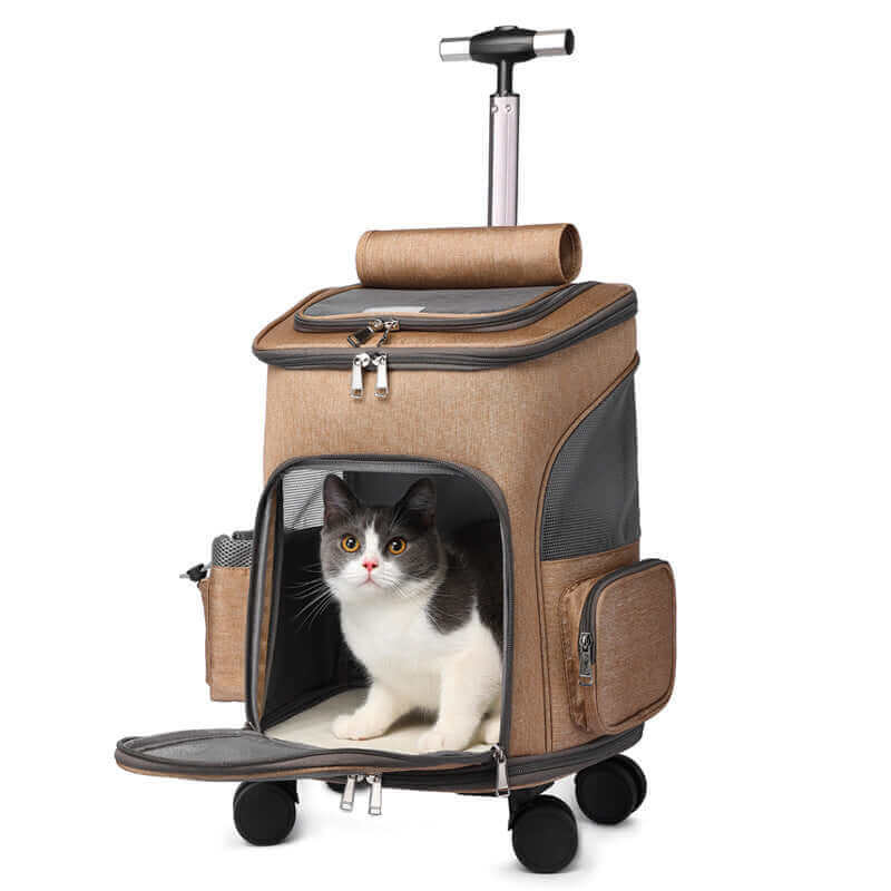 Cat in portable folding trolley pet backpack with universal wheels, space capsule design, ideal for traveling, small to medium pets, and airline-approved