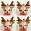 Small dog in reindeer costume with antlers and red nose, wearing a red bow, showcasing cute pet clothing for autumn and winter.