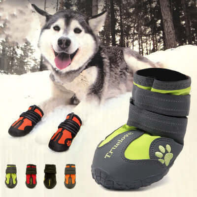 Husky wearing Big Dog Shoes Non-slip Waterproof Pet Shoes in snow with various colorful pairs displayed.