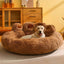 Bear Paw Pet Bed - Ultimate Comfort for Your PupShop the coziest bear paw-shaped pet bed. Perfect dreamland for pets. Plush, comfy, & designed for your pet's well-being. £66.90"Tags: #PetBed #CozyComfort #BearPawBed #OrthopedicSupport #ThermalRegulation #