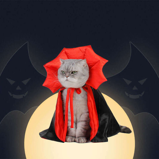 Halloween Pet Vampire Cape - Perfect Fit for Festive Fun£14.9Paws Palace StoresTransform your pet into a vampire king with our Halloween Cape! Ideal for pets with a 29–35 cm neck size. Black cloak style, easily adjustable. Free Delivery