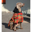 Thick And Warm Clothing For Large Dogs