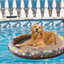 Luxe Inflatable Dog Pool | Relaxation | Paws Palace StoreElevate your pet’s summer with our inflatable dog pool hammock. Durable, stylish, & perfect for ultimate relaxation. Grab yours now! Free delivery£36.90#DogSwimmingPool #InflatableHammock #PetPool #