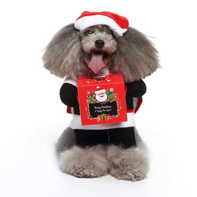 Funny Dog Cosplay Outfit | Halloween & ChristmasDress your pet in our Funny Dog Clothes for Halloween & Christmas. Comfortable, Cute & Easy to Clean. Get the perfect Cosplay Pet Outfit now.£22.90Paws Palace Stores