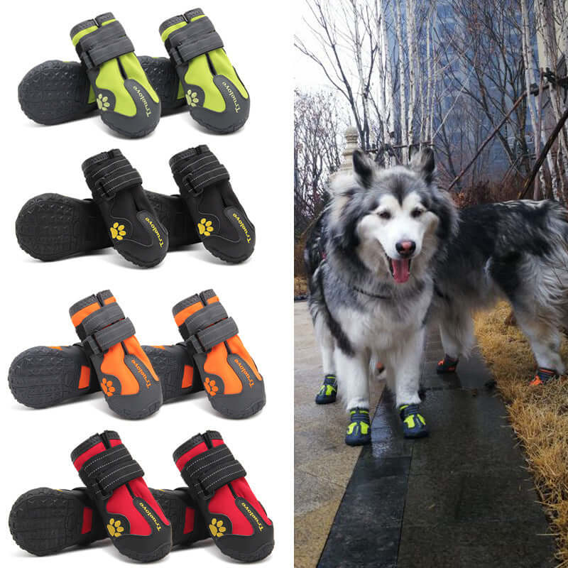 Various colors of Big Dog Shoes Non-slip Wear Pet Shoes on display and a dog wearing green shoes outdoors