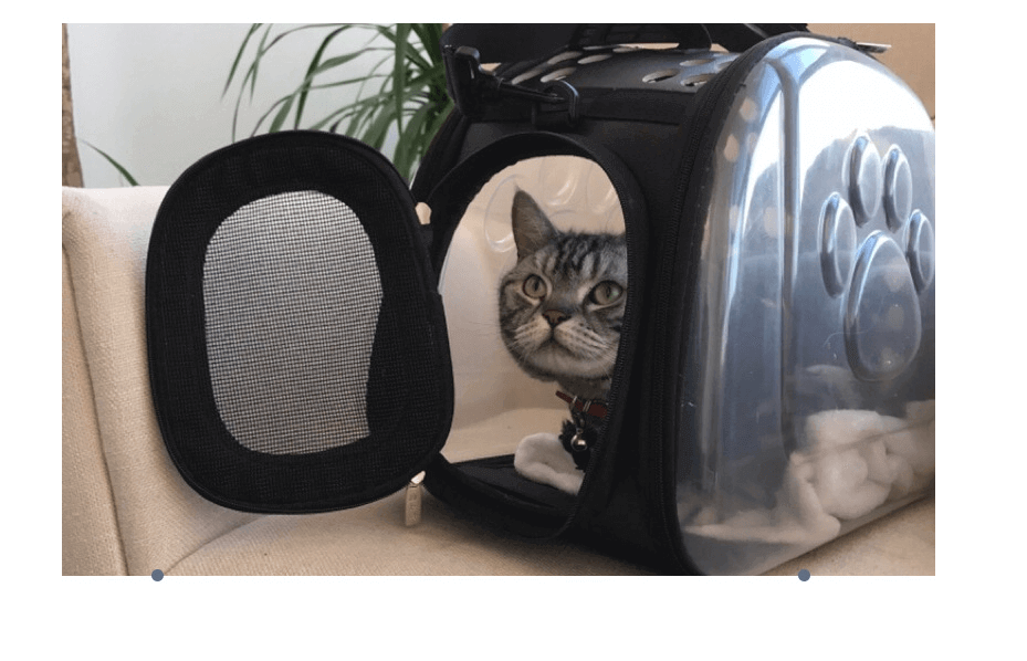 Portable Cat Dog Backpack - Travel Made EasyEnjoy stress-free journeys with our Portable Cat Bag. Perfect for cats & small dogs, it ensures breathable comfort and style on the go.£36.9#CatBackpack,#Cats #SmallDogs,#CatsAccessories,#Convenience,#DogBackpac