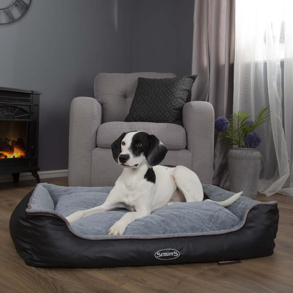 Dog lying on Chateau Memory Foam Orthopaedic Box Dog Bed by Scruffs in a cozy living room with fireplace and grey armchair.