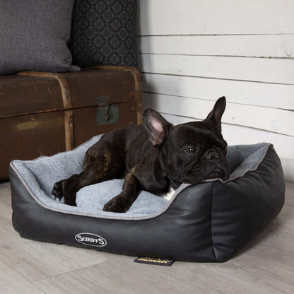 French Bulldog resting in a Chateau Memory Foam Orthopaedic Box Dog Bed by Scruffs, featuring a removable outer cover and water-resistant liner