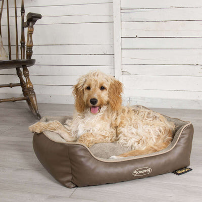 Dog resting in a Chateau Memory Foam Orthopaedic Box Dog Bed by Scruffs in Dove color, featuring a plush design and supportive side-walls