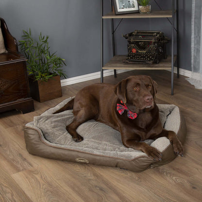 Chocolate labrador resting on a Chateau Memory Foam Orthopaedic Box Dog Bed by Scruffs in a cozy living room setting