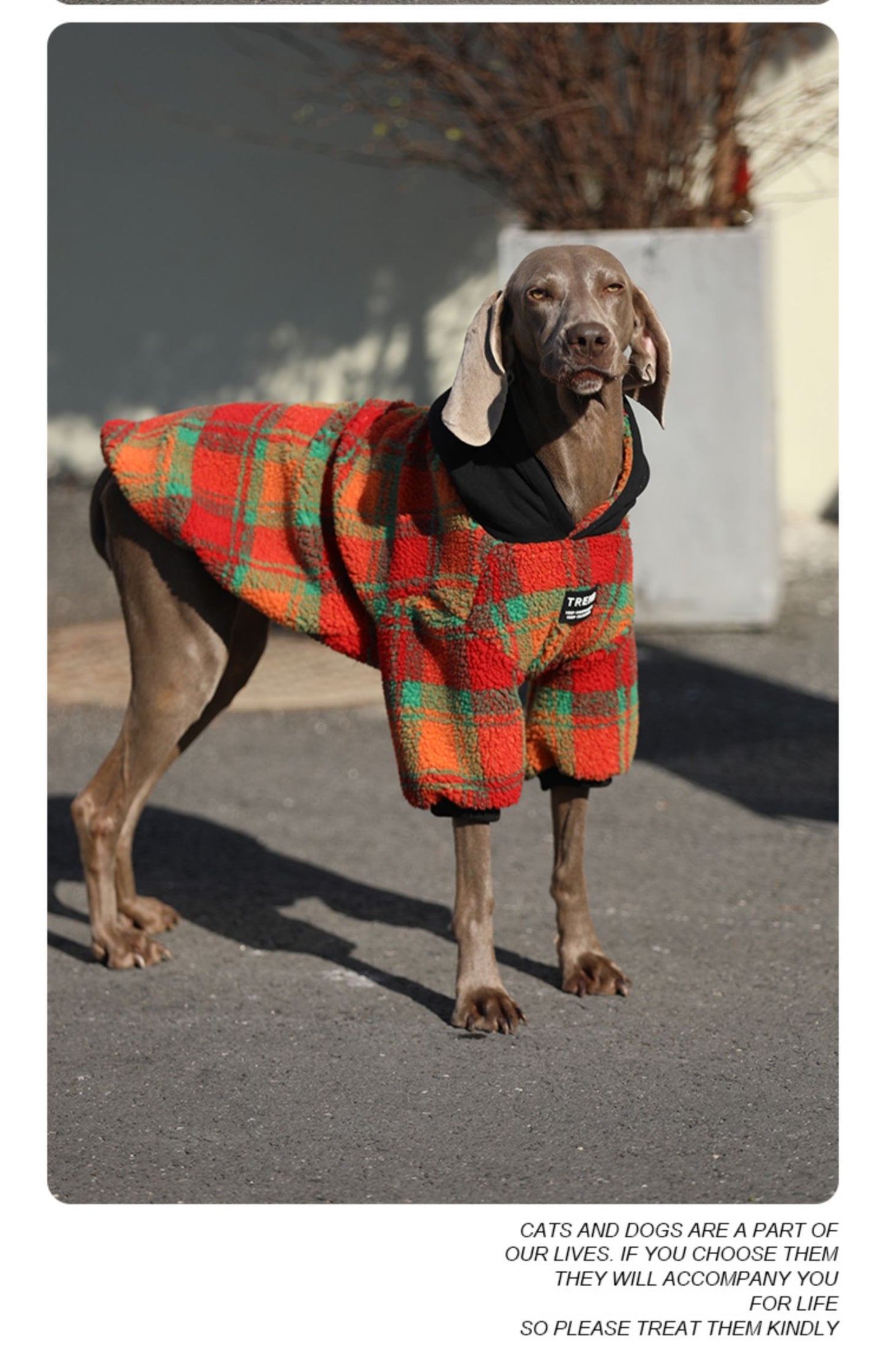 Thick And Warm Clothing For Large Dogs