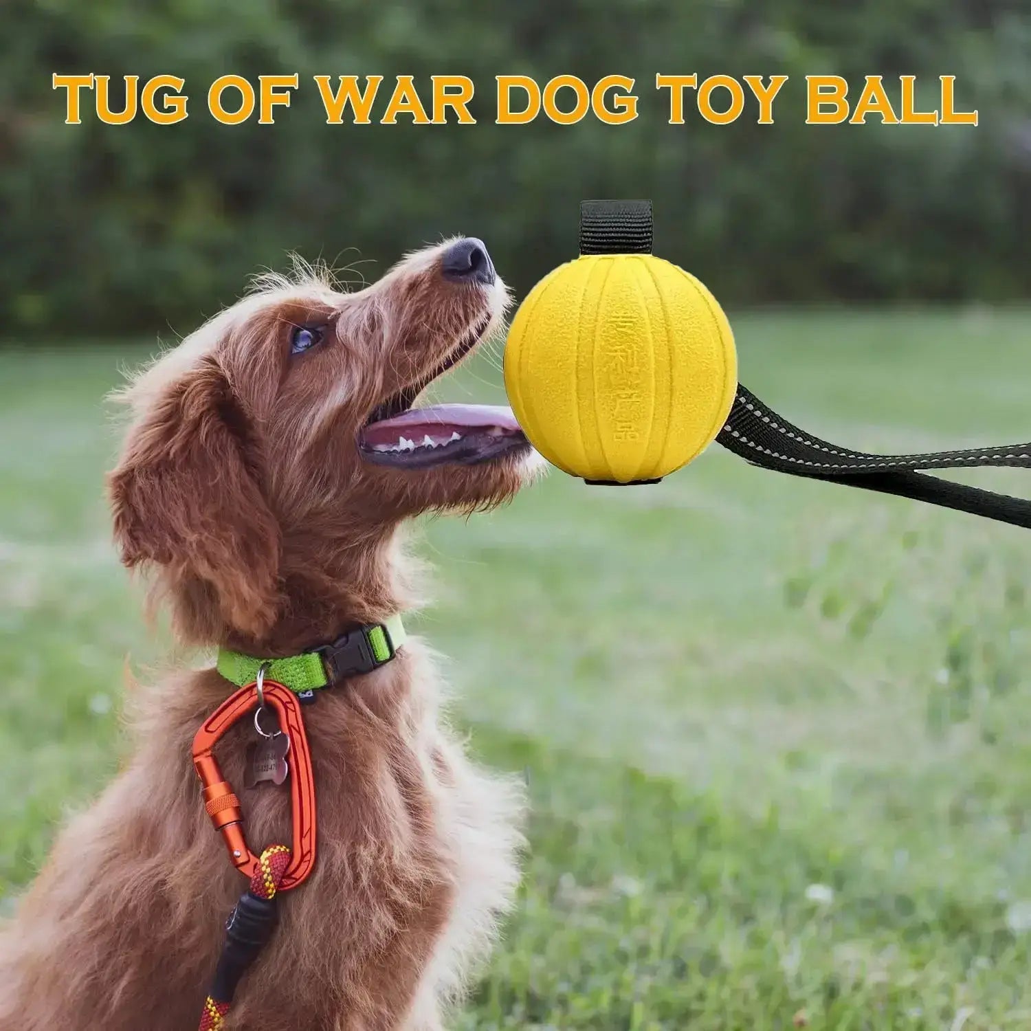 Dog Toy Balls On a Rope | Paws Palace storeBuy Dog Toy Balls On a Rope for Small Medium Large Dogs Chewers, Durable Interactive Balls for Training, and Free Delivery£6.9