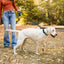 Woman walking dog with Vintage Style Dog Leash & Collar Set in park during autumn.