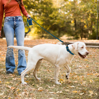 Woman walking dog with Vintage Style Dog Leash & Collar Set in park during autumn.