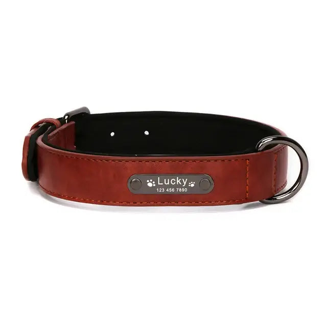 Custom Luxury Personalized Dog Collars - Engraved Leather