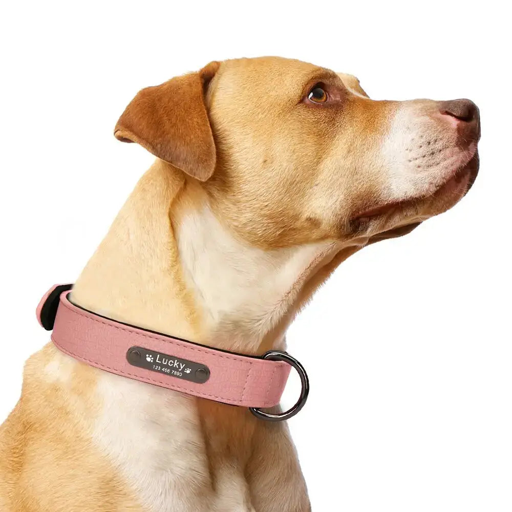 Custom Luxury Personalized Dog Collars - Engraved Leather