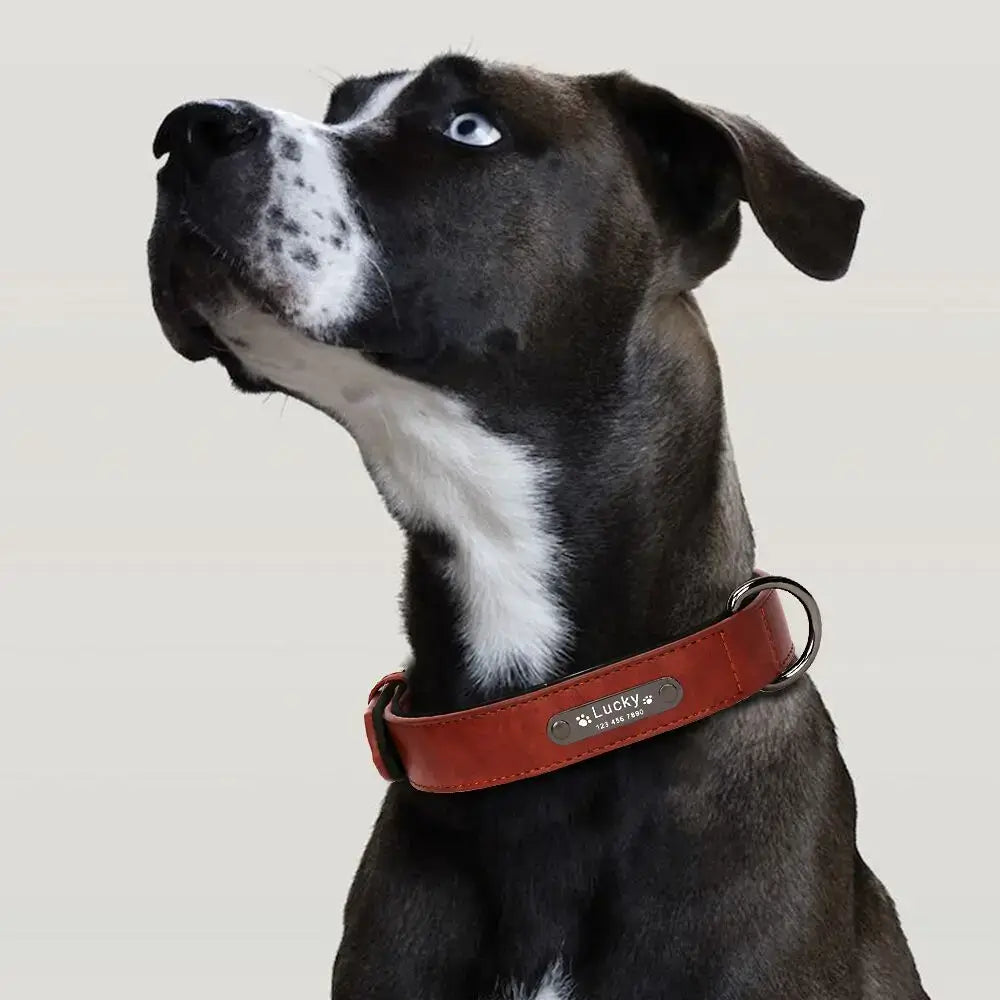 Custom Luxury Personalized Dog Collars - Engraved Leather