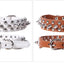 Adjustable Leather Dog Collar with Rivets & Spikes