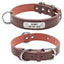 Durable Personalized Dog Collar - Customizable Sizes