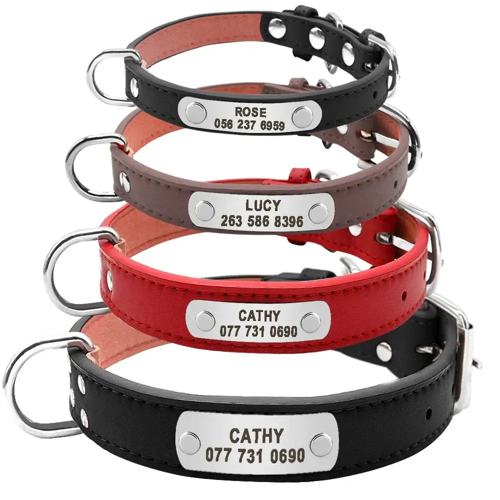 Durable Personalized Dog Collar - Customizable Sizes