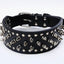 Spiked Studded Leather Dog Collars for Large Breeds