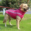 Warm Waterproof Dog Winter Coat for Medium & Large Dogs