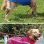 Warm Waterproof Dog Winter Coat for Medium & Large Dogs