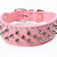 Spiked Studded Leather Dog Collars for Large Breeds