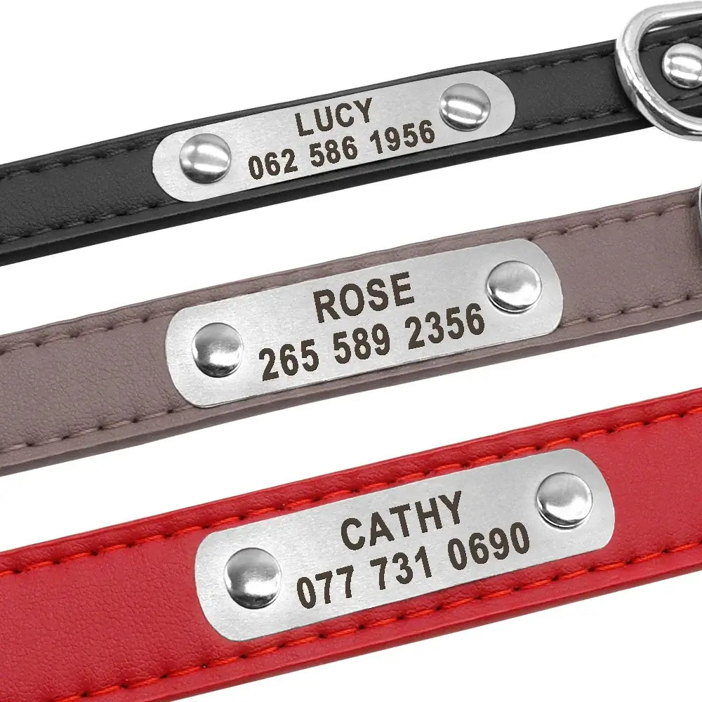 Durable Personalized Dog Collar - Customizable Sizes