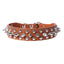 Adjustable Leather Dog Collar with Rivets & Spikes