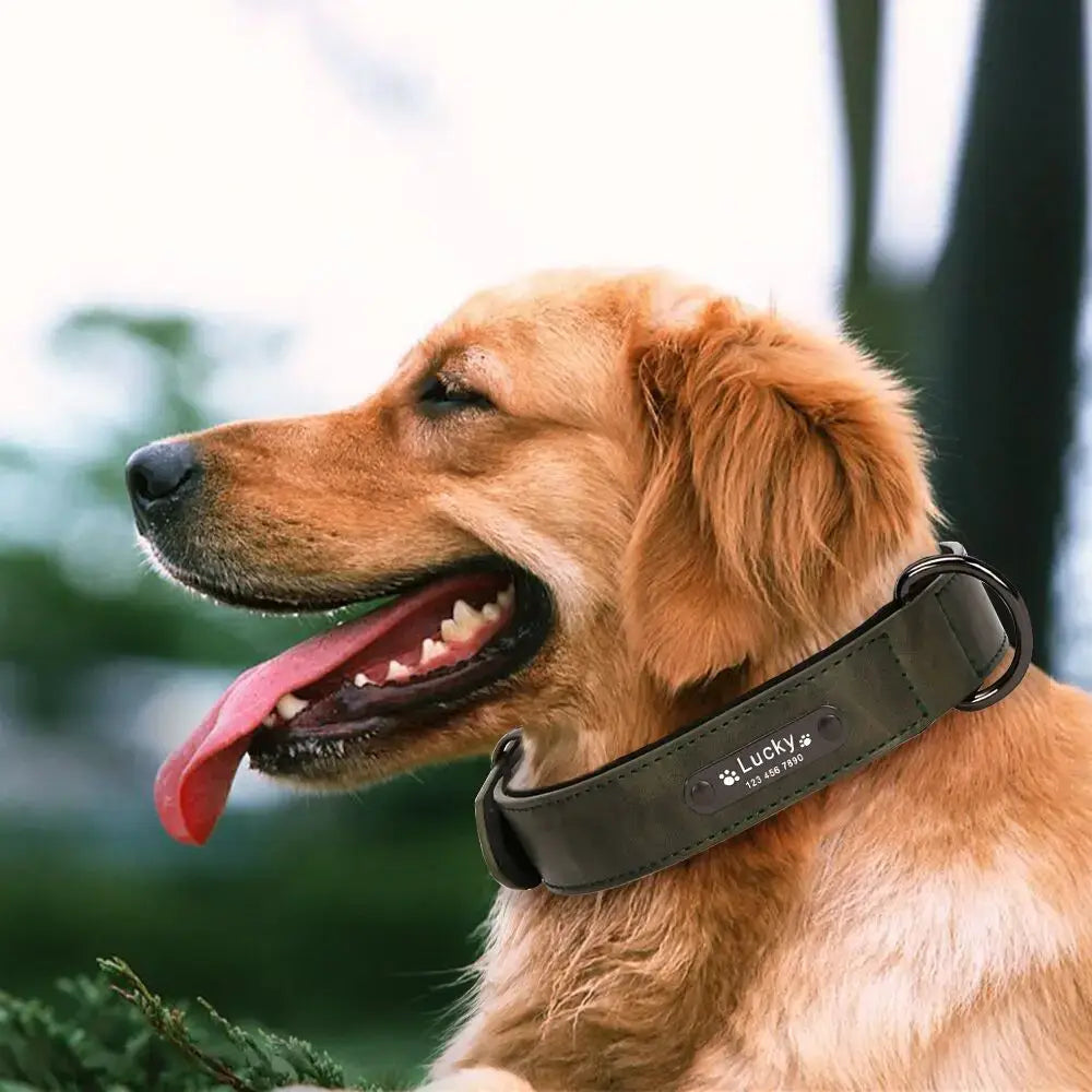 Custom Luxury Personalized Dog Collars - Engraved Leather