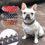 Adjustable Leather Dog Collar with Rivets & Spikes