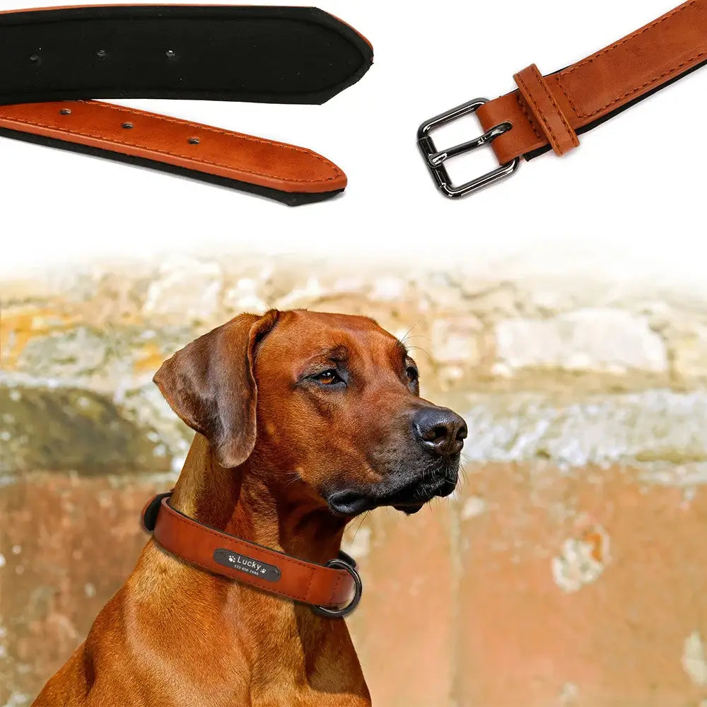 Custom Luxury Personalized Dog Collars - Engraved Leather