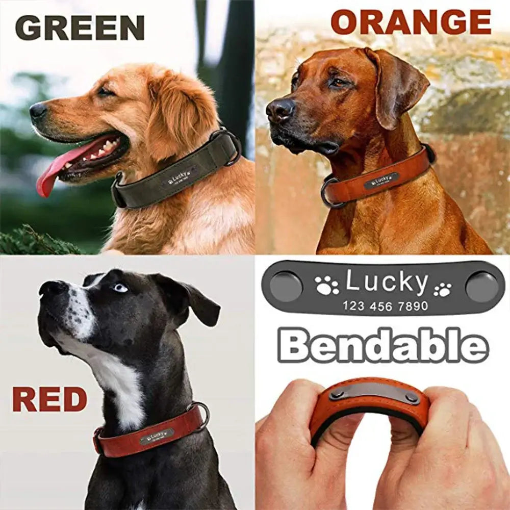 Custom Luxury Personalized Dog Collars - Engraved Leather