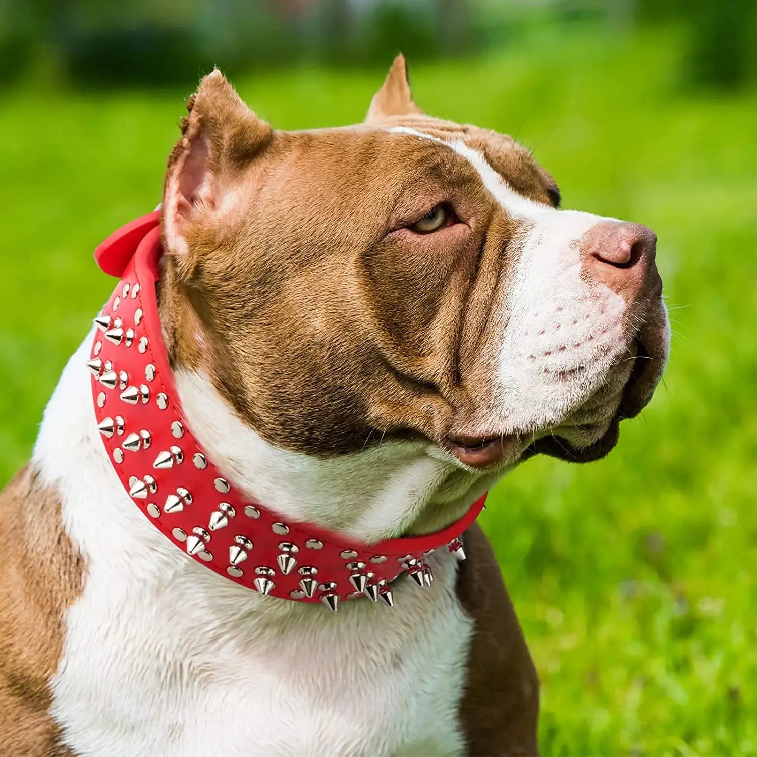 Spiked Studded Leather Dog Collars for Large Breeds