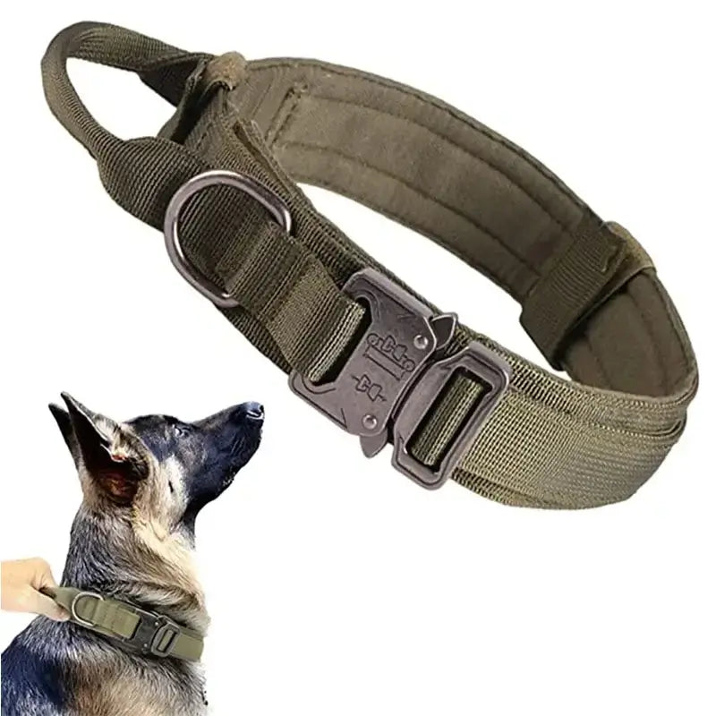 Tactical Dog Collar & Leash Set for Large BreedsShop heavy-duty tactical dog collar and leash sets. Adjustable fit for German Shepherds & large dogs. Ideal for training & outdoor activities.£9.90#AdjustableCollarHarness,#DogComfort,#DogEntertainment,#DogH