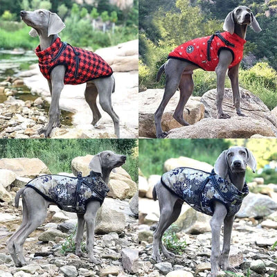 Winter Warm Dog Jacket with Harness for Large Breeds£14.9