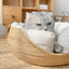 Cat lounging comfortably on a handmade bamboo pet bed sofa with a soft, removable cushion.